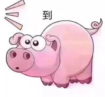 ����������ʺ�����