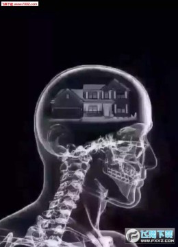 ��������ctͼ����ȫ�����ֱ����