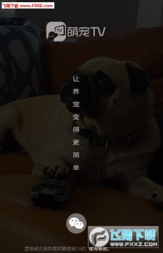 �ȳ�tv�ֻ���