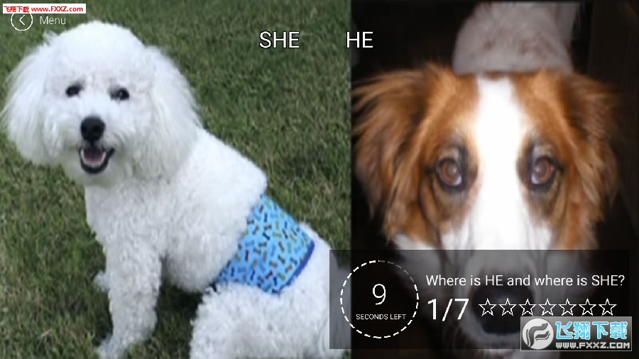 he or she