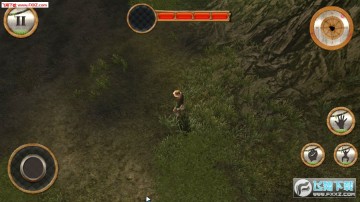 丛林生存逃脱 丛林生存逃脱