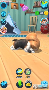 多摩狗手游安卓版 多摩狗手游安卓版