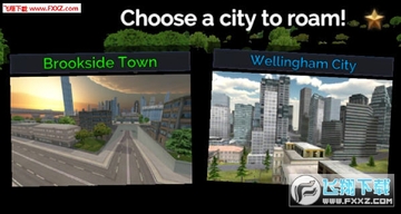 Truck Driver Simulator FREE����