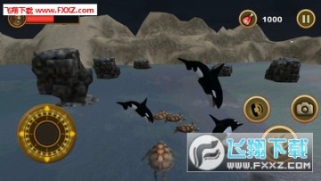 海龟模拟器手机版 海龟模拟器手机版