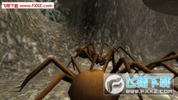 ģ��֩�밲׿��