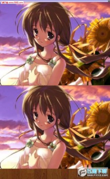 ��Ů�Ҳ�ͬ���ΰ�׿��