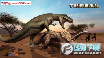 ������������Ϸ