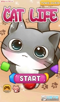 终极治愈系猫咪养成最新版 终极治愈系猫咪养成最新版