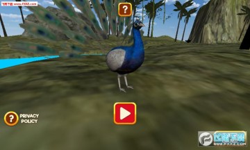 ��ȸģ����3D����