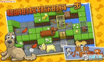 拯救小狗狗最新版 拯救小狗狗最新版