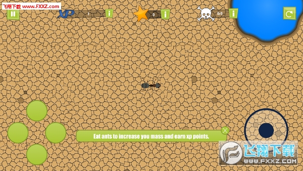 Ant Evolution Forever(Ͻ2عֻ)1.0.5ͼ1