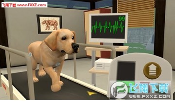 Pet world����