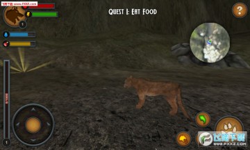 ����ʨ���尲׿��