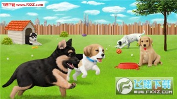 Hey Puppy手机版 Hey Puppy手机版