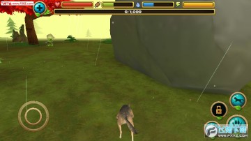 野狼模拟器手游 野狼模拟器手游