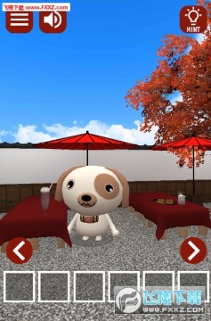 ������Ϸ���Ӻ���������׿��