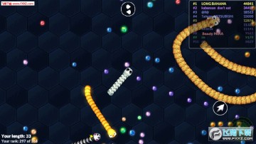 �������ΰ�׿��