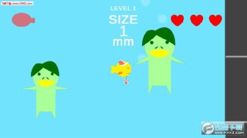 The Fish���°�