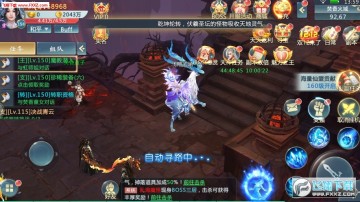 ����������׿��