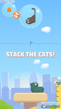 ����Cat Stack����