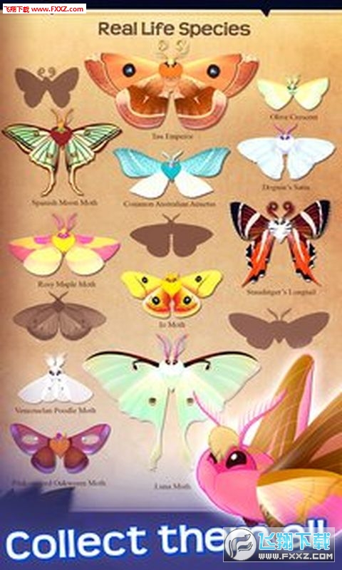 Flutter׿v2.731ͼ1