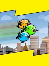 Clumsy Birds: Ring Crosser(̽°)1.0ͼ3