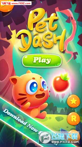 Pets Dash(Pet Dash׿)1.0ͼ4