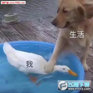 90dad067gy1fqpojlnssej20c80c878h.jpg