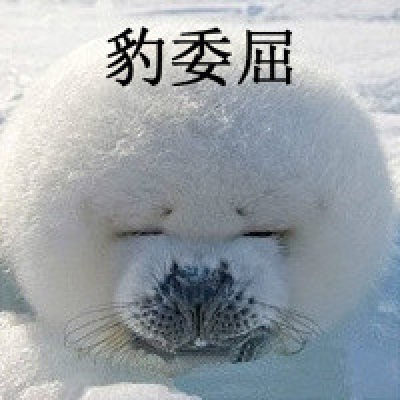 海豹豹笑表情包下载 海豹系列表情安卓版 飞翔下载 海豹豹笑表情包下载 海豹系列表情安卓版 飞翔下载
