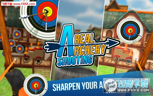 Real Archery Shooting 3D(ս׿)ͼ2