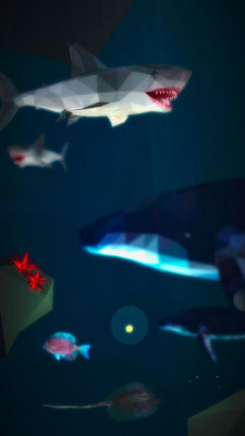 sunken star(ûֻ֮)ͼ3
