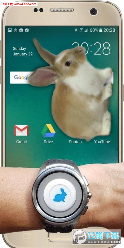 Bunny In Phone Cute joke(ֻĿɰЦ׿)v1.1ͼ1