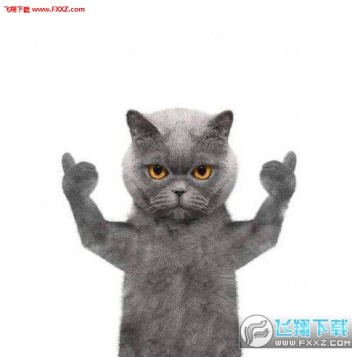 ������è�����