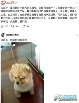 皮皮虾app安卓版 皮皮虾app安卓版