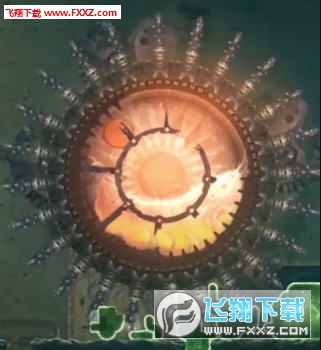 mushroom11