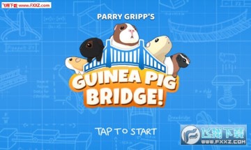 豚鼠桥手游 豚鼠桥手游