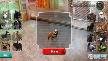 战斗狂犬官方版 战斗狂犬官方版