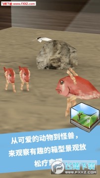 奇幻水族箱中文版 奇幻水族箱中文版
