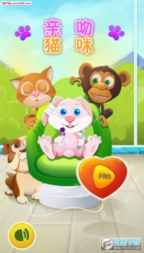 ����è�����ΰ�׿��