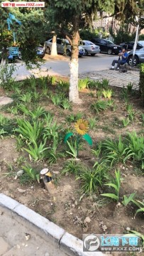 һ��AR����