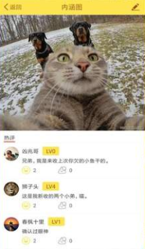 天天有內涵官方版 天天有內涵官方版