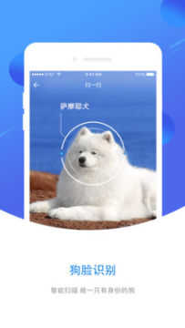 犬易APP安卓版 犬易APP安卓版