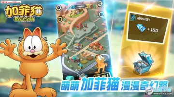 �ӷ�è���֮�ð�׿��