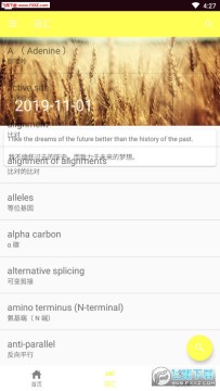 ���տ�Ӣ��app