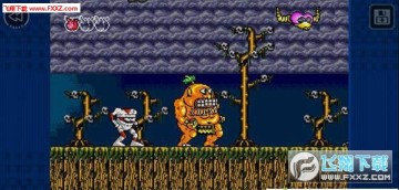  ��ƿ�Ĺ���