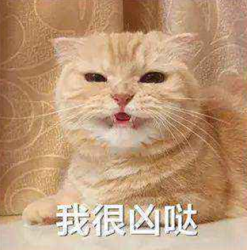 �������è��������̬