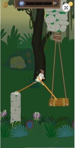 行走大师 2019111711077396.jpg