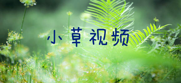 小草视频app_小草视频破解版_小草视频旧版
