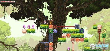 �þ�˫��������ɫ��