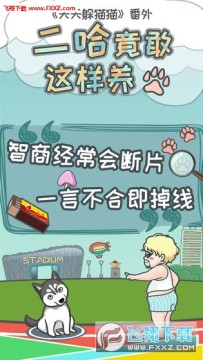 ����������������׿��